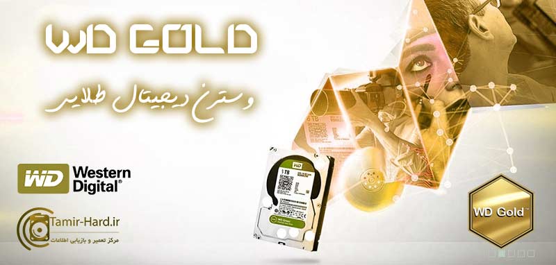 رنگ طلایی هارد وسترن دیجیتال WD